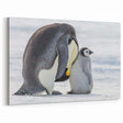 Adorable Penguin Wall Art - Cute Penguin Framed Art & Canvas Print Decor