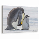 Adorable Penguin Wall Art - Cute Penguin Framed Art & Canvas Print Decor