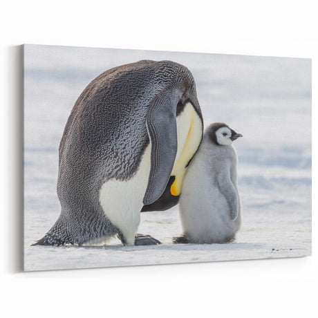 Adorable Penguin Wall Art - Cute Penguin Framed Art & Canvas Print Decor