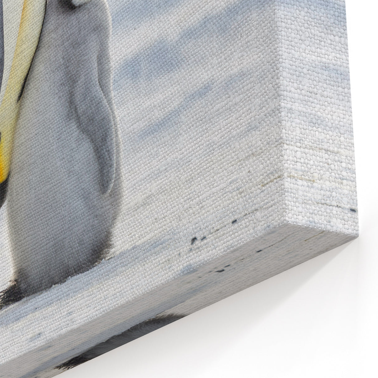 Adorable Penguin Wall Art - Cute Penguin Framed Art & Canvas Print Decor