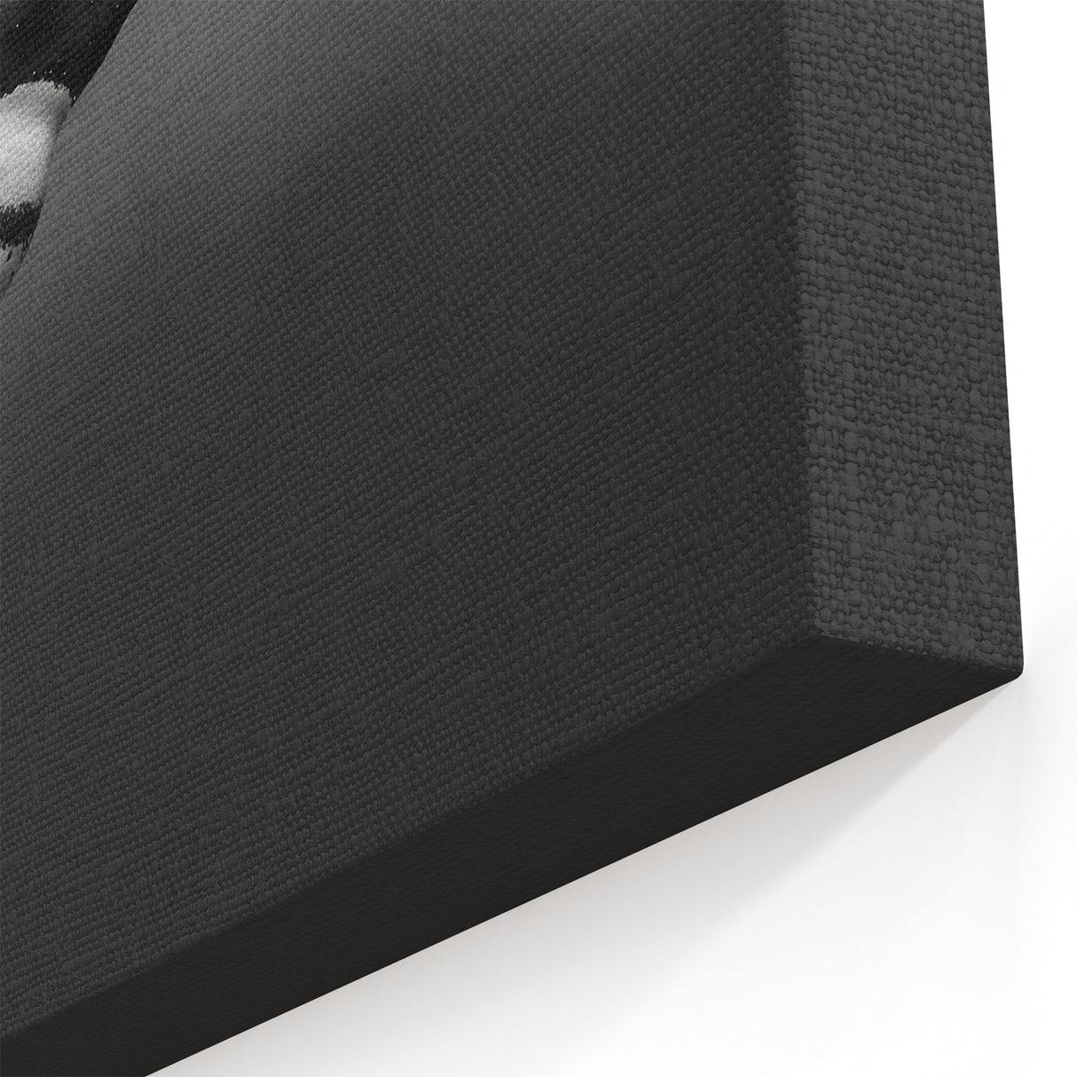 Penguin Wall Art - Underwater Black & White Photography Canvas Print