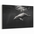 Elegant Dolphin Wall Art - Black and White Marine Life Canvas Print