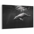 Elegant Dolphin Wall Art - Black and White Marine Life Canvas Print