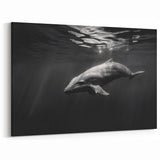 Elegant Dolphin Wall Art - Black and White Marine Life Canvas Print