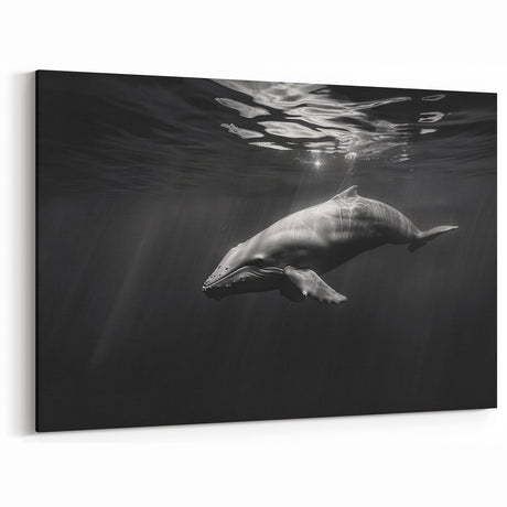 Elegant Dolphin Wall Art - Black and White Marine Life Canvas Print
