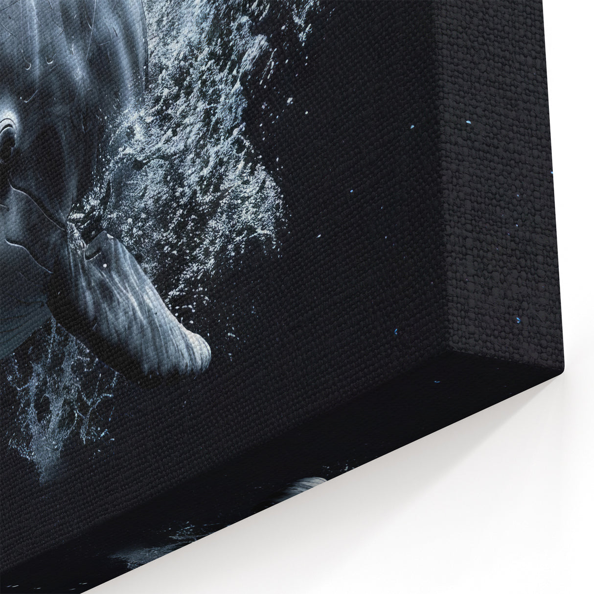 Dynamic Dolphin Wall Art - Underwater Marine Life Canvas Print