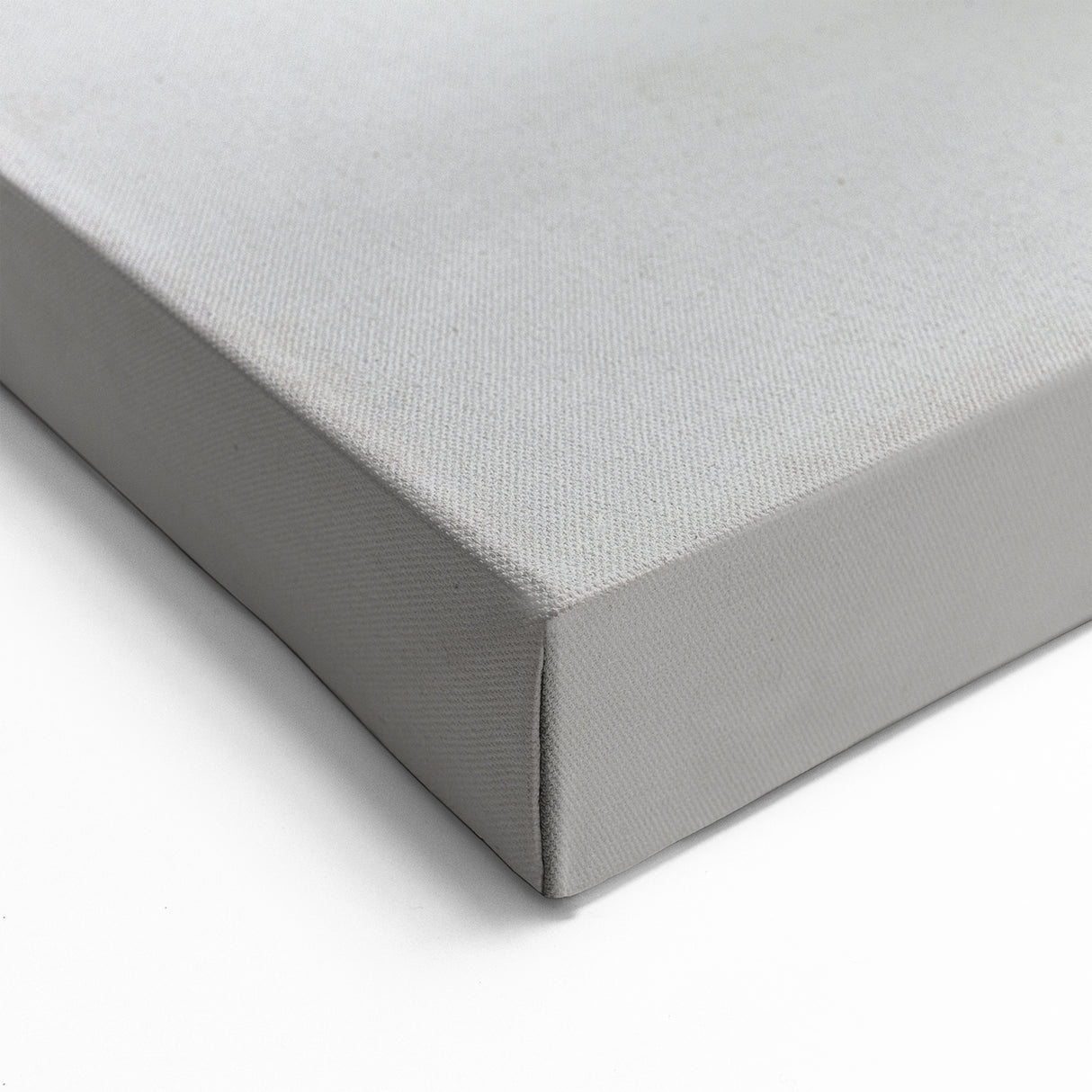 Sleek Dolphin Wall Art - Modern Minimalist Marine Life Canvas Print