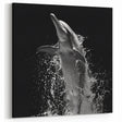 Dramatic Dolphin Wall Art - Black and White Marine Life Canvas Print