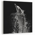 Dramatic Dolphin Wall Art - Black and White Marine Life Canvas Print