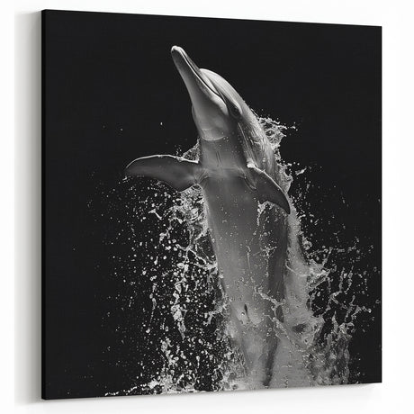 Dramatic Dolphin Wall Art - Black and White Marine Life Canvas Print