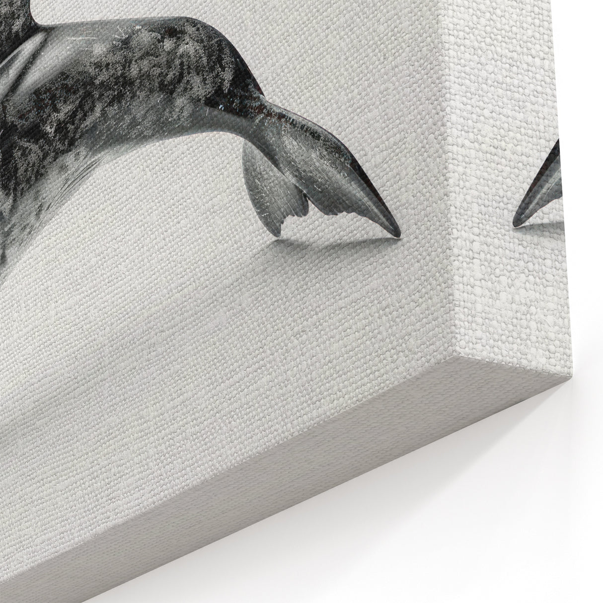 Textured Dolphin Wall Art - Modern Marine Life Canvas Print