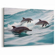 Playful Dolphins Wall Art - Lively Marine Life Canvas Print