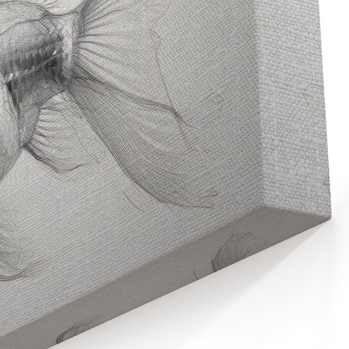 Minimalist Fish Wall Art - Monochrome Marine Life Canvas for Modern Decor