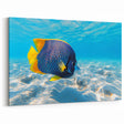 Vibrant Angelfish Wall Art - Ocean Fish Canvas for Coastal Decor