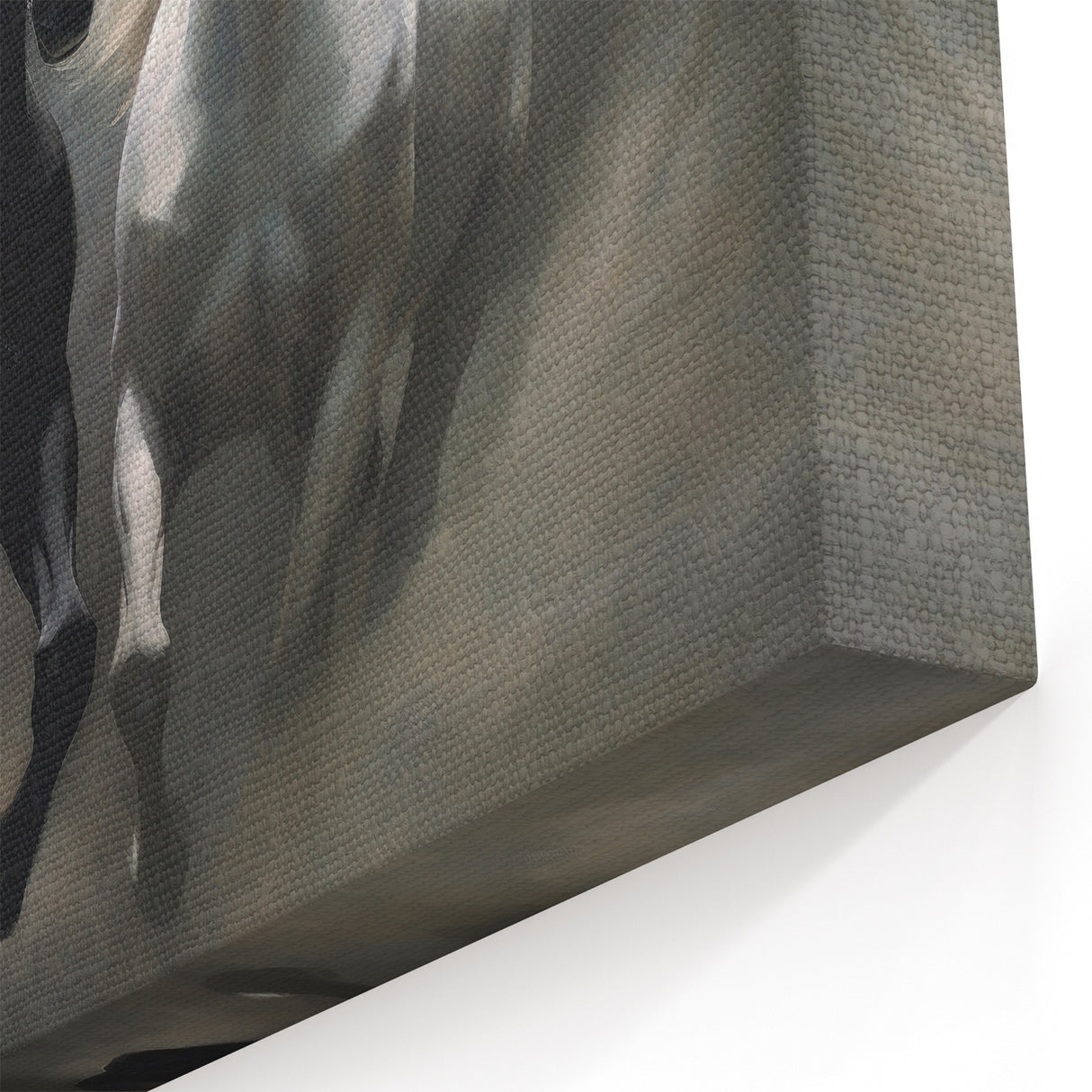 Majestic Black and White Horse Wall Art - Dynamic Equestrian Canvas