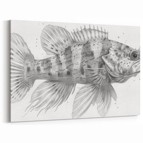 Detailed Fish Illustration Wall Art - Canvas, Framed & Acrylic Prints
