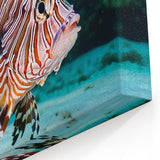 Striking Lionfish Wall Art - Lionfish Canvas Print - Ocean Life Decor