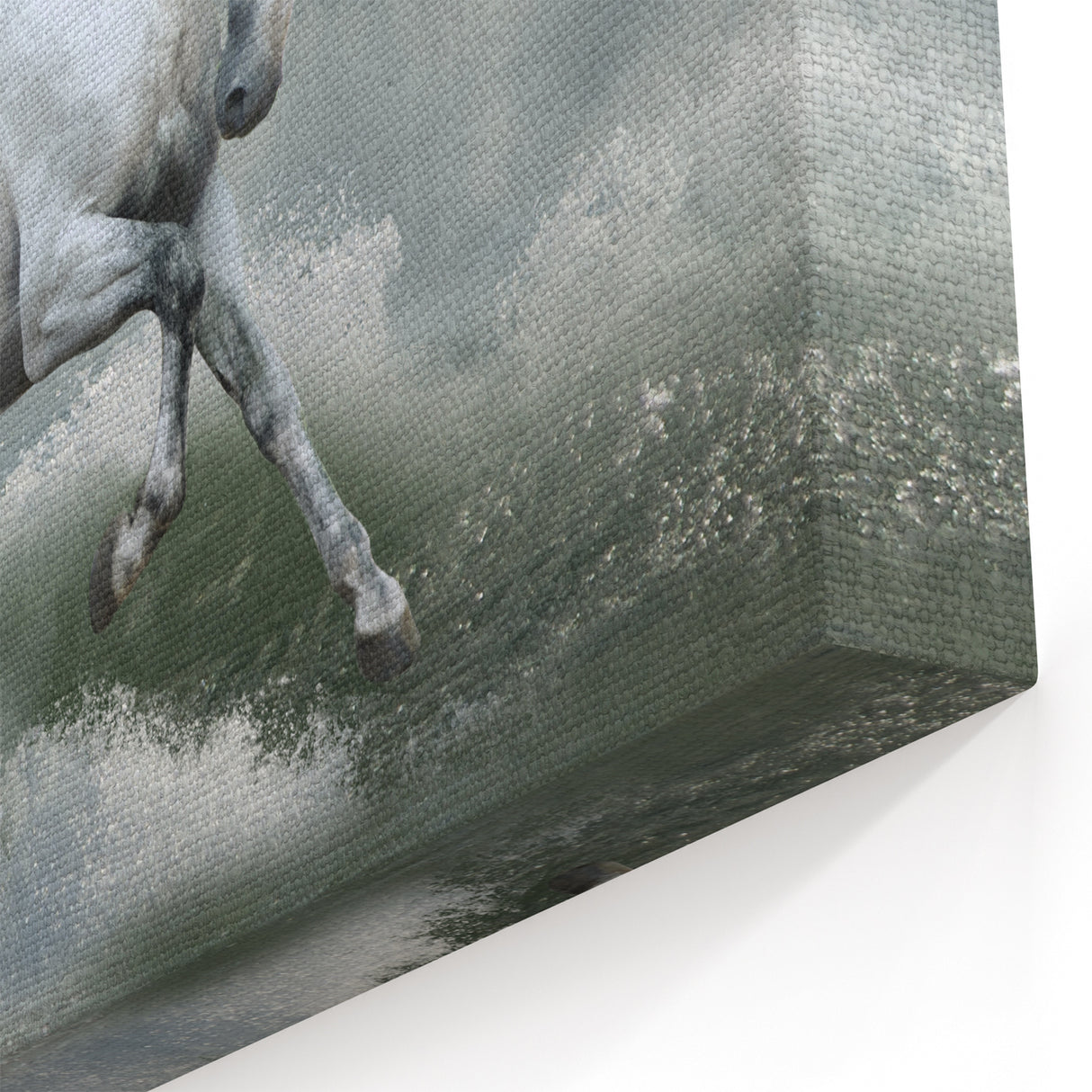 Majestic White Horse Wall Art - Powerful Equestrian Canvas Print Decor
