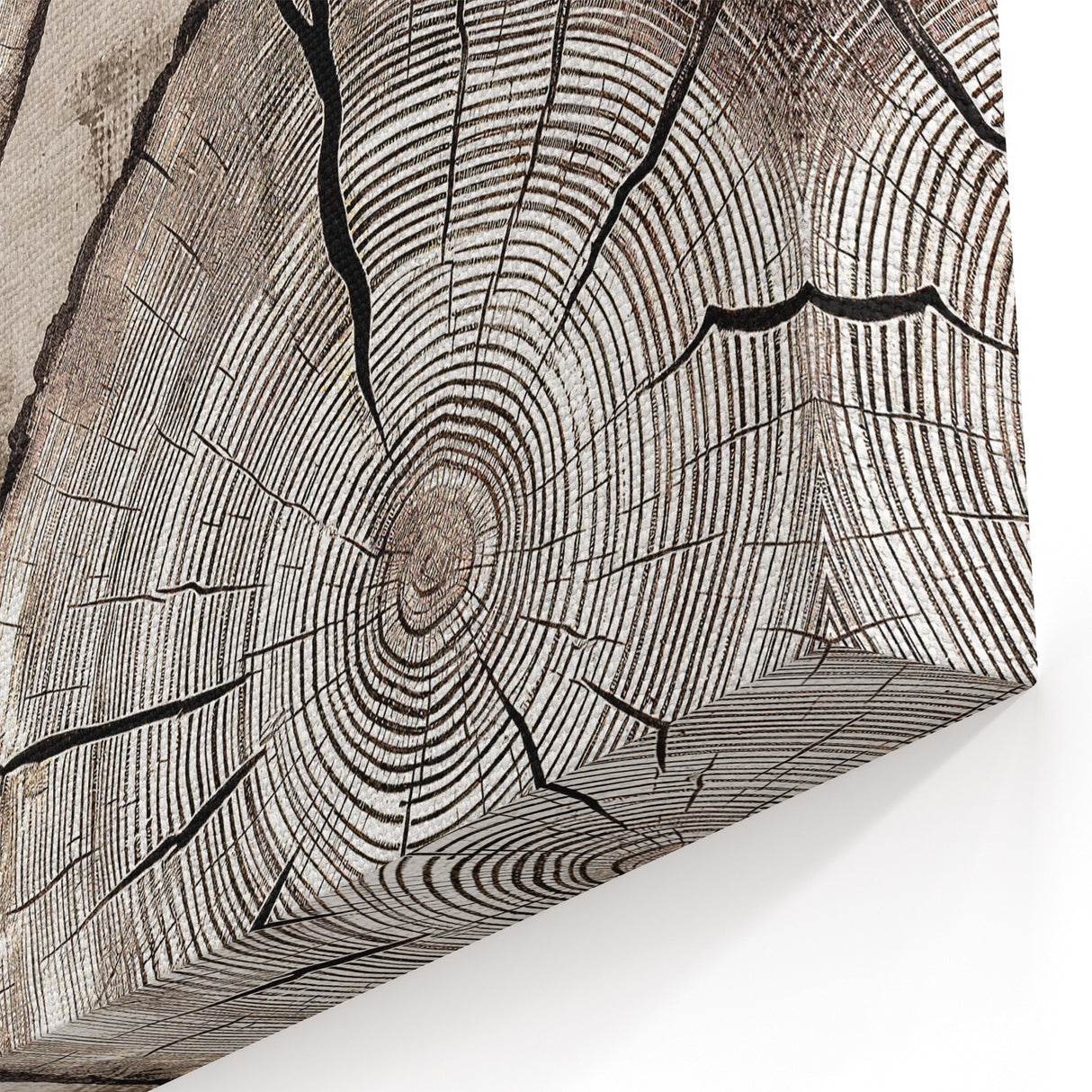 Rustic Tree Rings Art - Modern Woodgrain Abstract Canvas Print