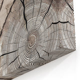 Rustic Tree Rings Art - Modern Woodgrain Abstract Canvas Print