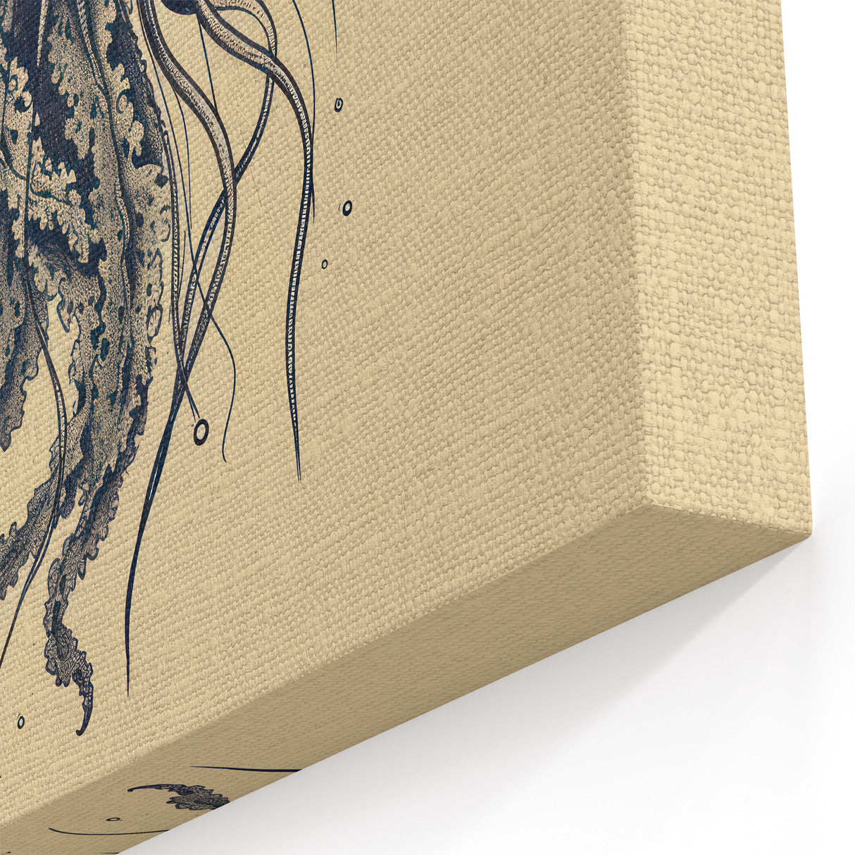 Vintage Jellyfish Wall Art - Classic Marine Life Canvas & Prints