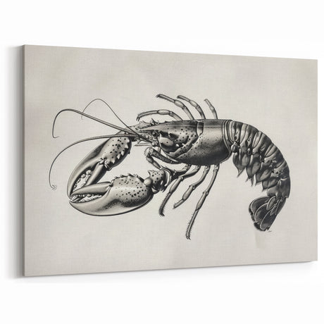 Vintage Lobster Art - Black & White Marine Life Canvas & Framed Decor