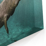 Manatee Wall Art - Tranquil Marine Life Decor - Canvas, Framed & Acrylic
