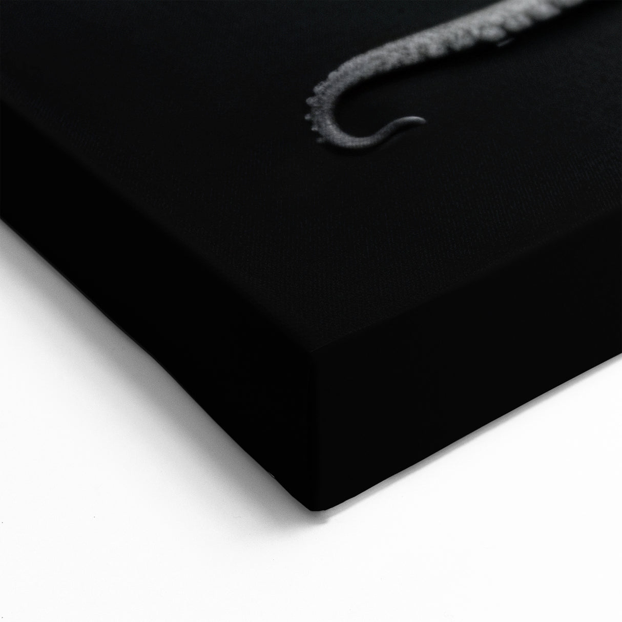 Monochrome Octopus Wall Art - Bold Marine Life Decor in Black & White