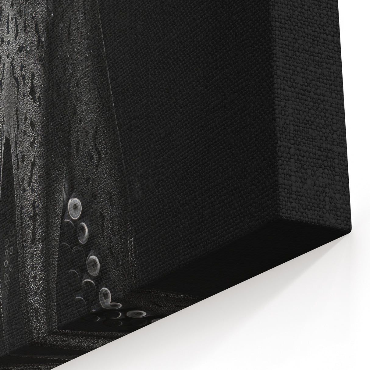 Dark Octopus Wall Art - Striking Black Marine Life Decor for Bold Spaces