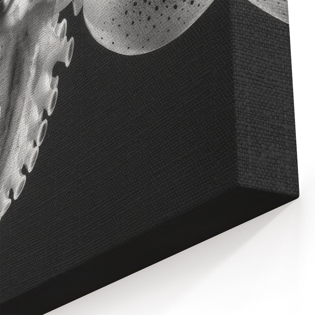 Graceful Octopus Wall Art - Sleek Black & White Marine Life Decor