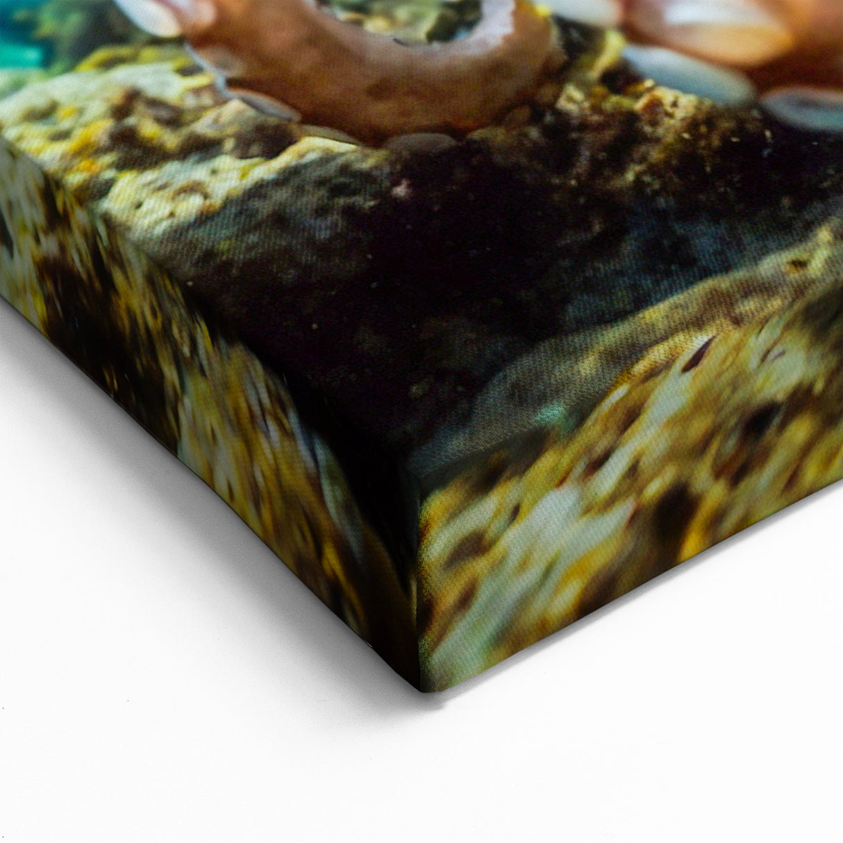 Vibrant Octopus Wall Art - Lively Marine Life Decor for Ocean Enthusiasts