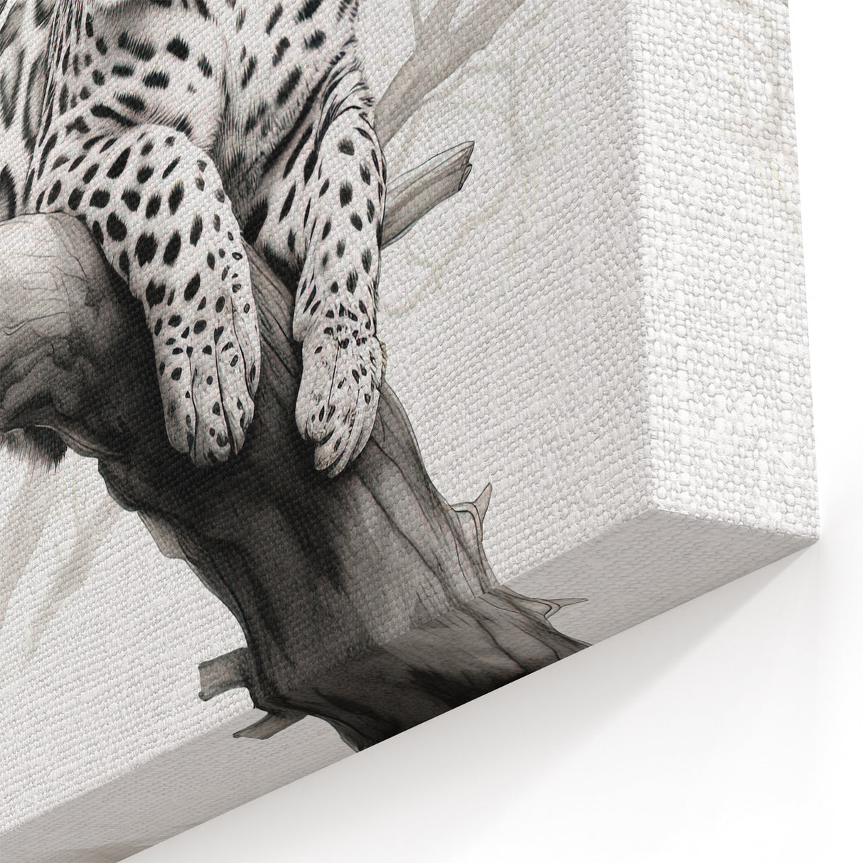 Monochrome Jaguar Art Print - Elegant Wild Cat Decor for Modern Homes