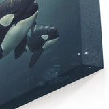 Serene Orca Wall Art - Ocean Life Canvas & Framed Print Decor