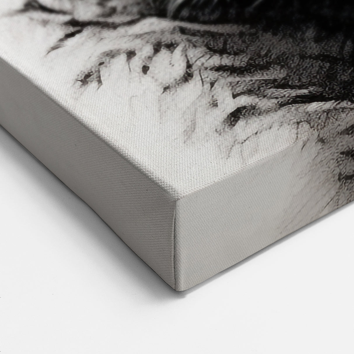Charming Koala Wall Art - Black & White Koala Canvas Print for Animal Lovers