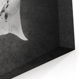 Minimalist Ray Wall Art - Striking Black & White Marine Life Prints