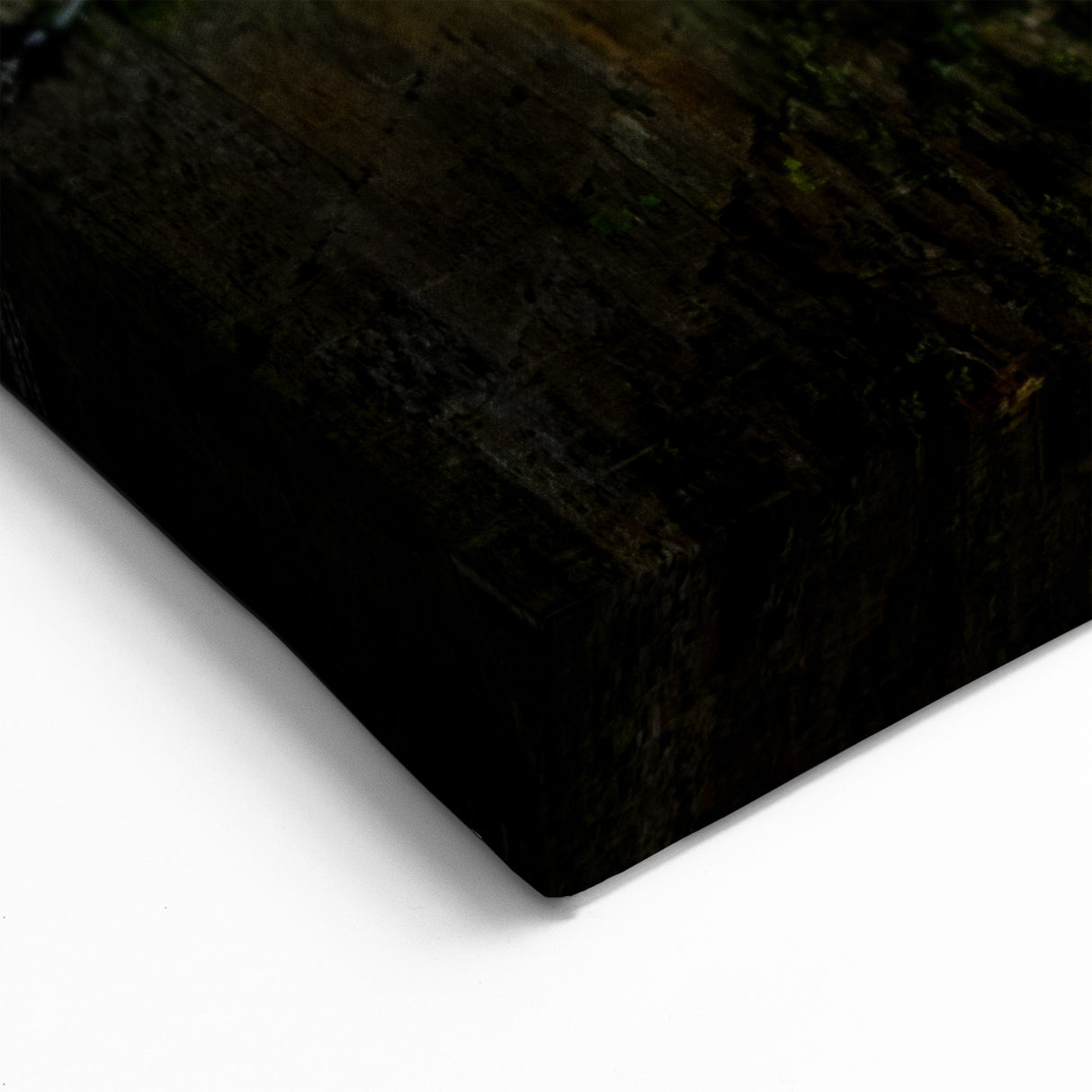 Ancient Ruins Wall Art - Overgrown Tunnel Canvas & Framed Prints