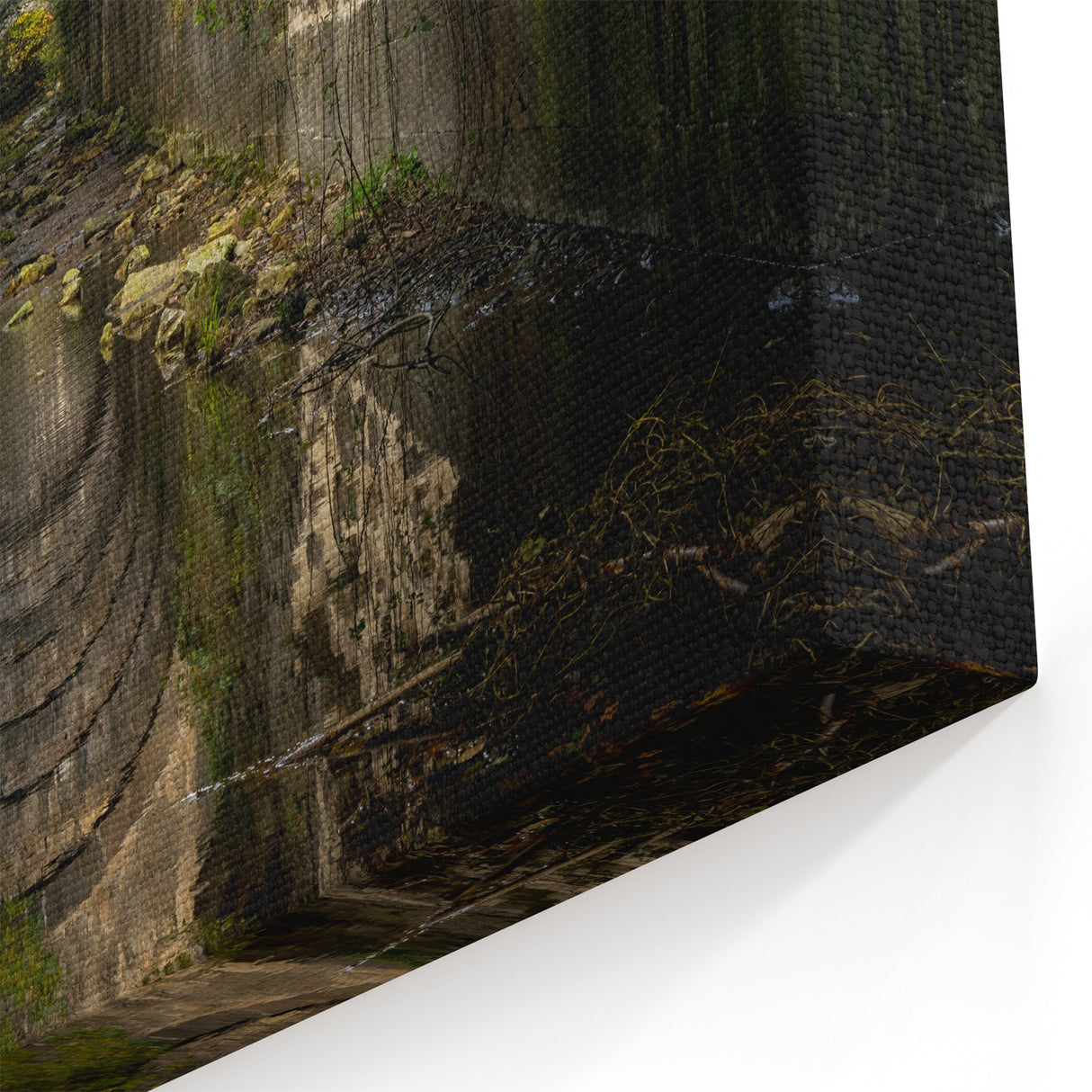 Ancient Ruins Wall Art - Overgrown Tunnel Canvas & Framed Prints