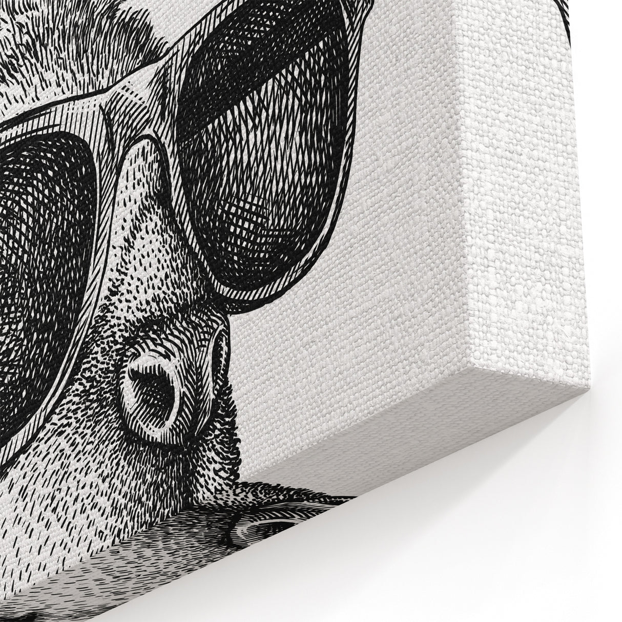 Stylish Kangaroo Wall Art - Fun Wildlife Animal Canvas Decor