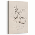 Minimalist Fruit Art - Homegrown Fruit Sketch - Elegant Wall Decor