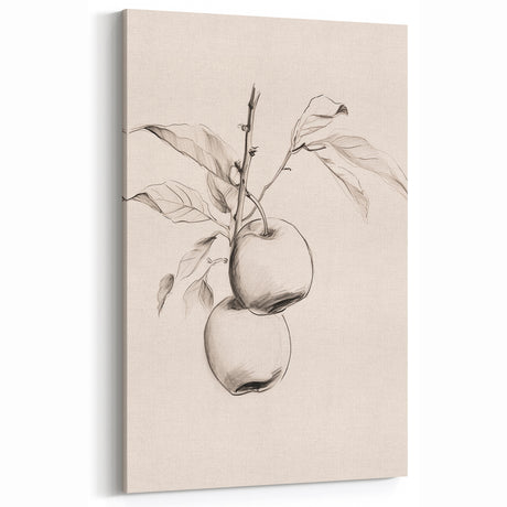 Minimalist Apple Art - Elegant Fruit Sketch - Modern Wall Decor
