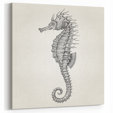 Intricate Seahorse Wall Art - Black & White Canvas, Framed & Acrylic Print