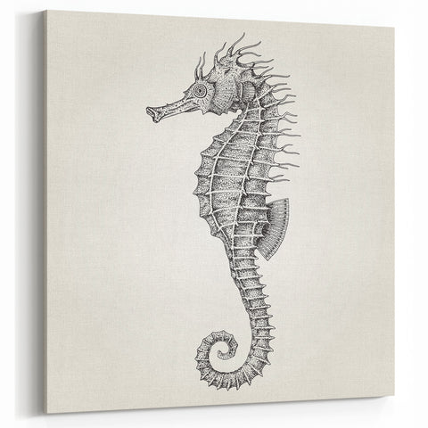 Intricate Seahorse Wall Art - Black & White Canvas, Framed & Acrylic Print