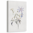 Elegant Botanical Watercolor - Delicate Blue Floral Canvas Art Print
