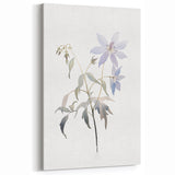 Elegant Botanical Watercolor - Delicate Blue Floral Canvas Art Print