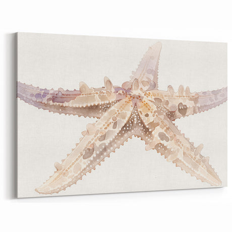 Soft Watercolor Starfish Wall Art - Gentle Coastal Marine Decor