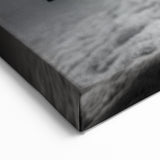 Monochrome Turtle Underwater Art – Black & White Marine Decor