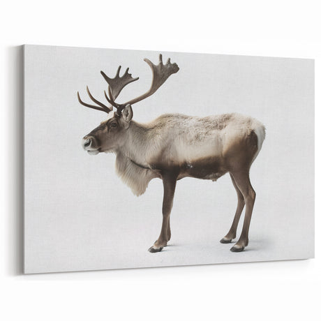 Elegant Elk Framed Art - Stunning Wildlife Canvas & Acrylic Prints