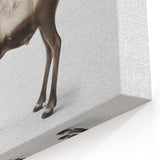 Elegant Elk Framed Art - Stunning Wildlife Canvas & Acrylic Prints
