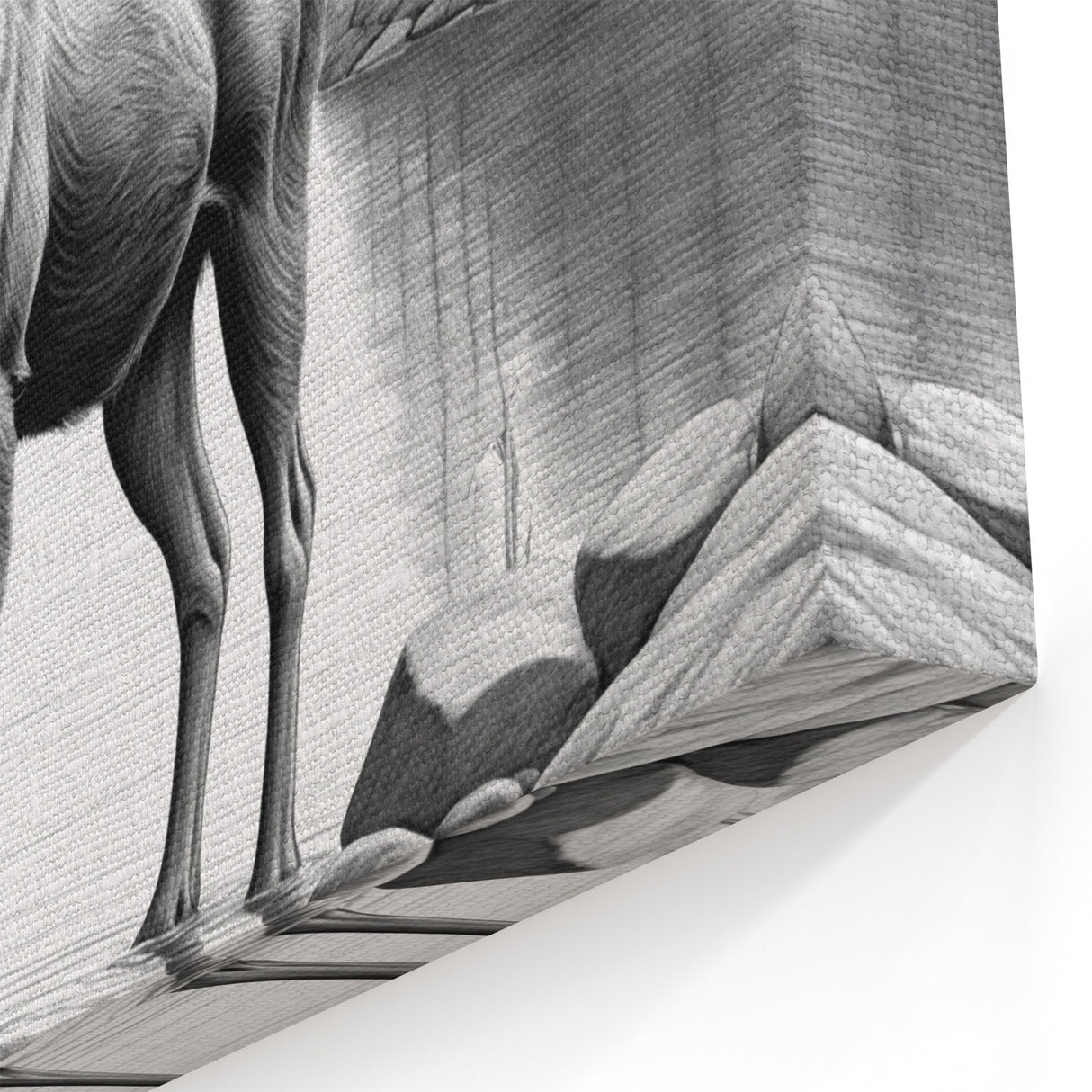 Serene Moose Sketch Art - Black & White Wildlife Canvas & Framed Prints