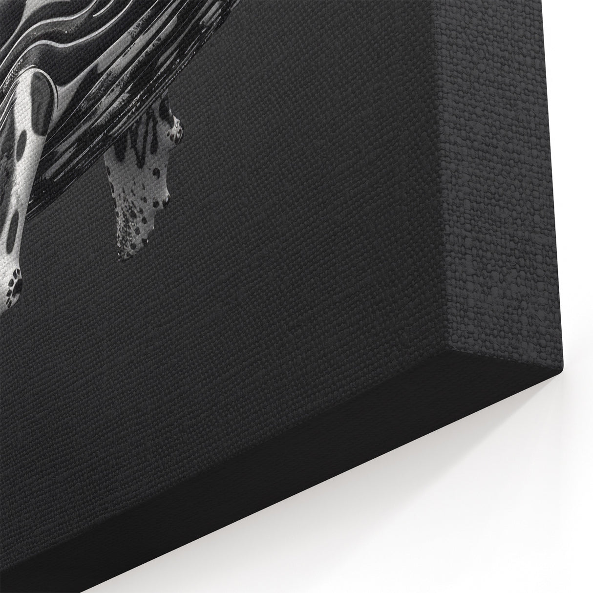 Abstract Whale Wall Art - Black & White Canvas Print - Modern Decor